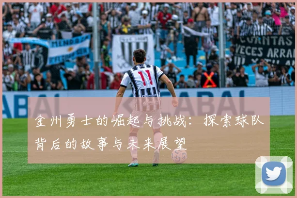 金州勇士的崛起与挑战：探索球队背后的故事与未来展望