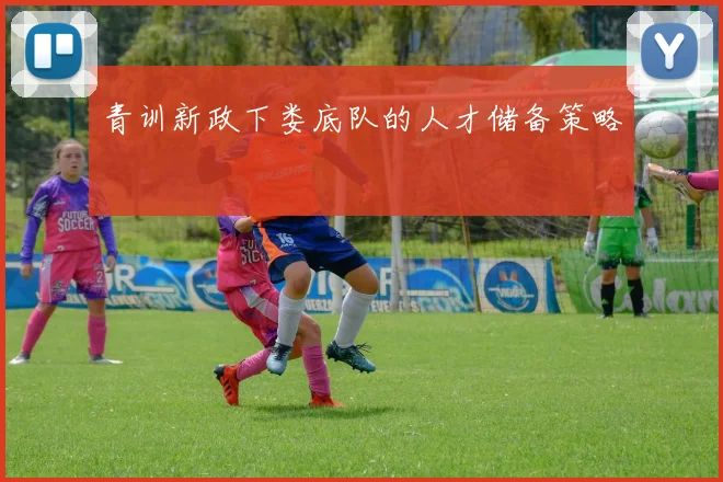 青训新政下娄底队的人才储备策略