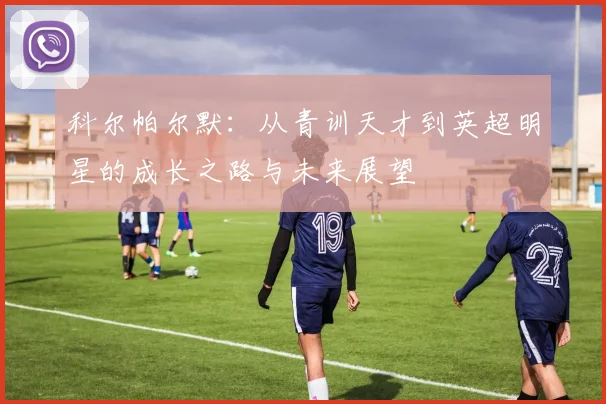科尔帕尔默：从青训天才到英超明星的成长之路与未来展望
