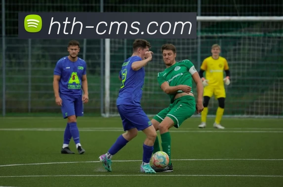 华体会hth发展历程